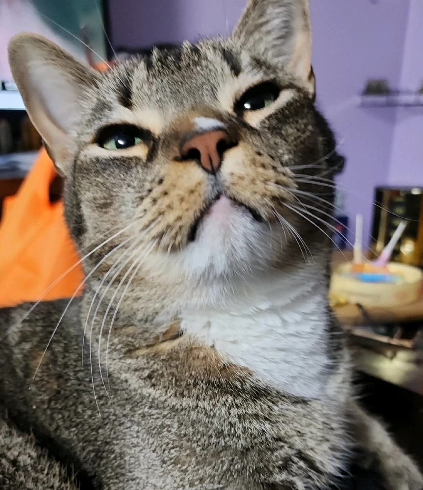 Bebé guapo 