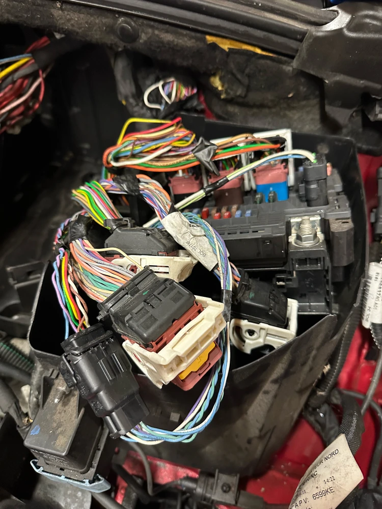 Image uploaded by Ryan