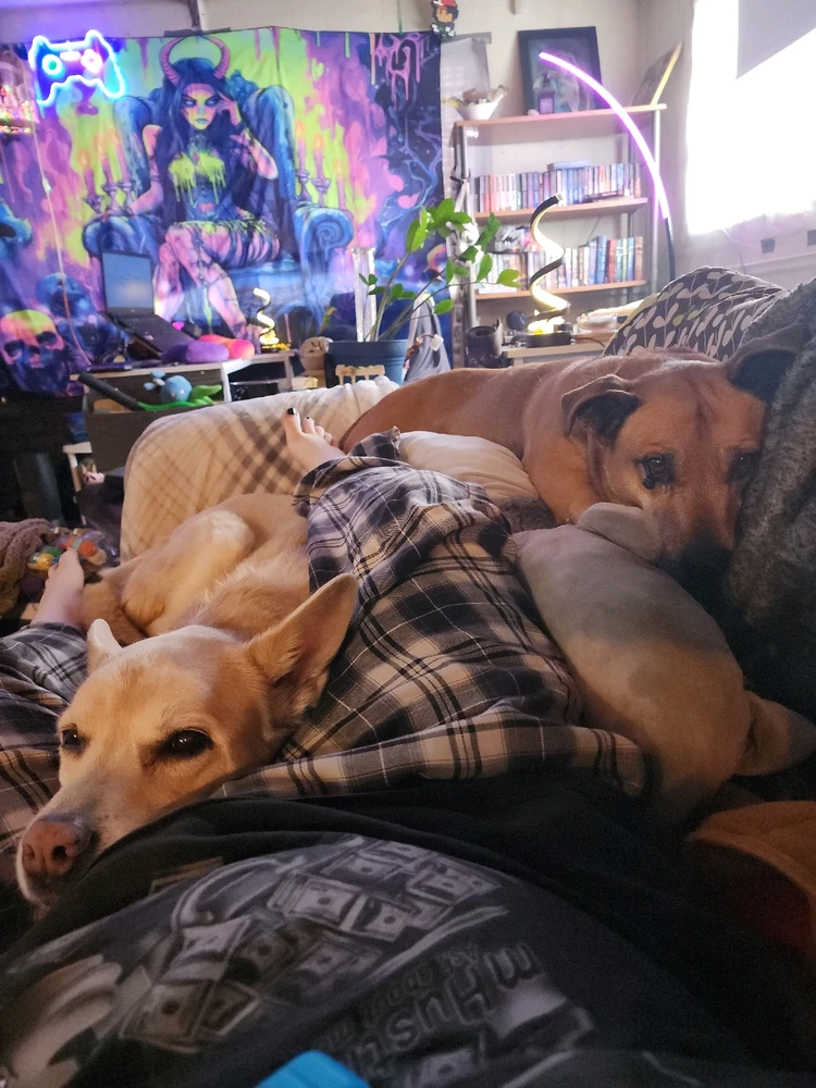 Image uploaded by Dale