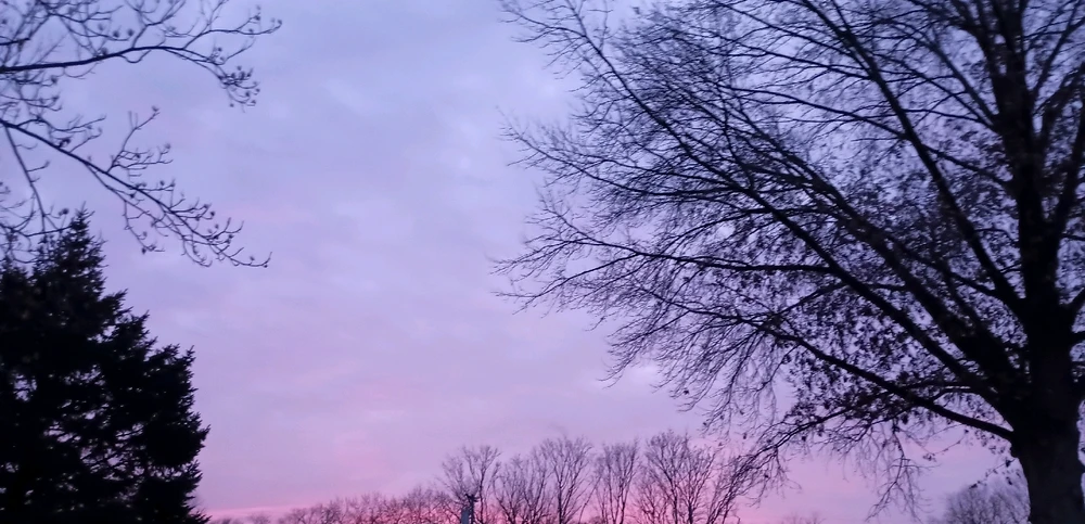 Image uploaded by Reo