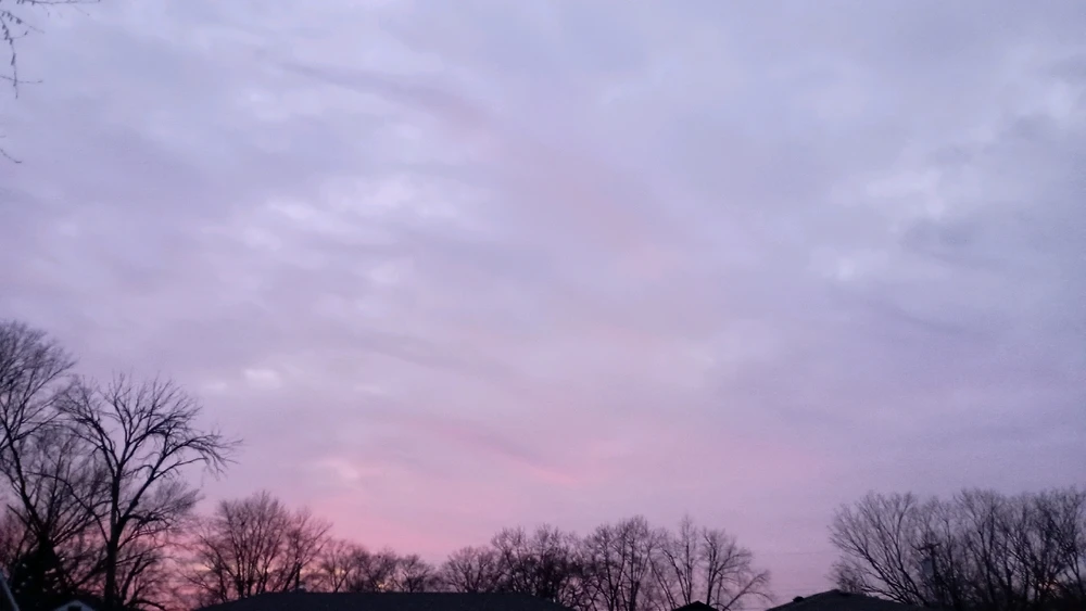 Image uploaded by Reo