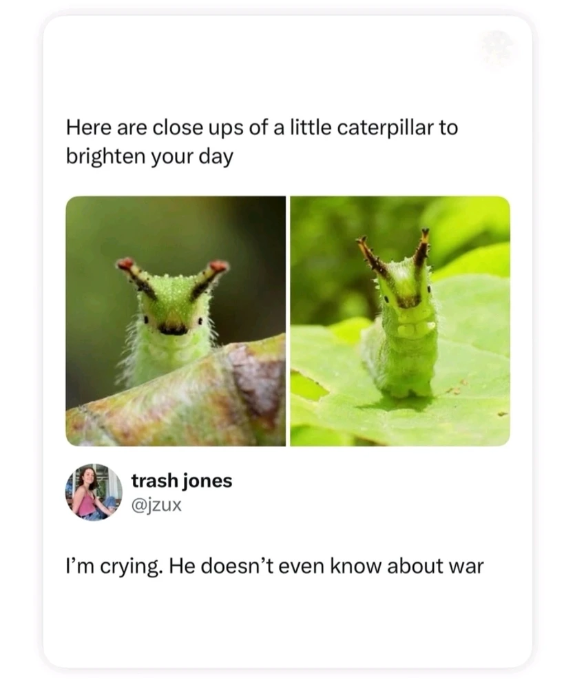 GIF uploaded by Maili