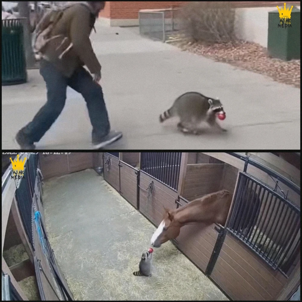 GIF uploaded by Jordan