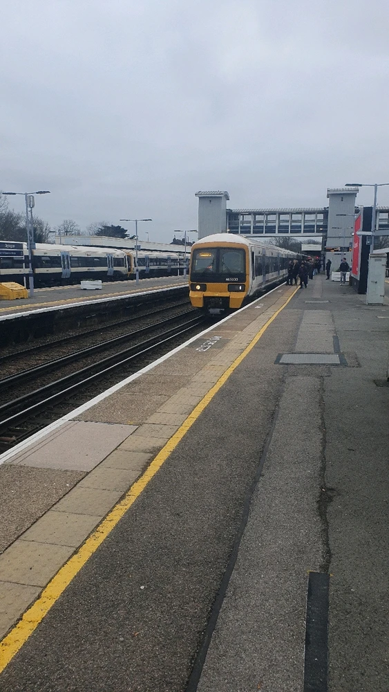 Image uploaded by Josh