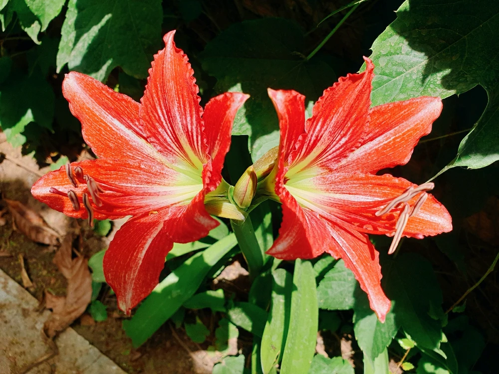 GIF uploaded by Luna