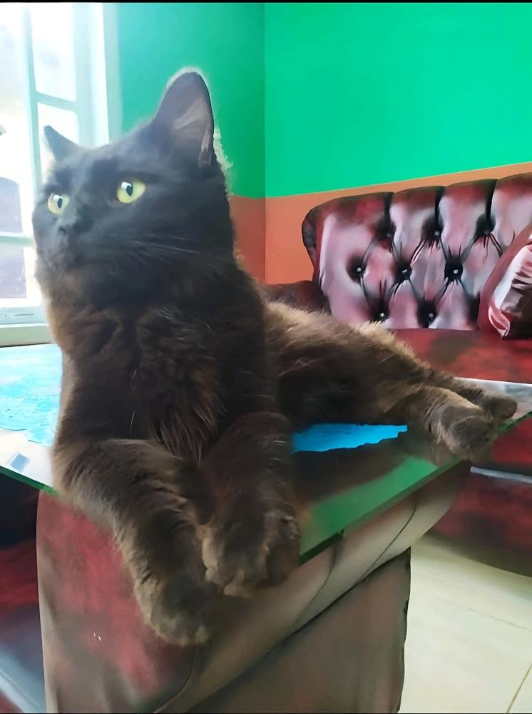 GIF diunggah oleh Tee