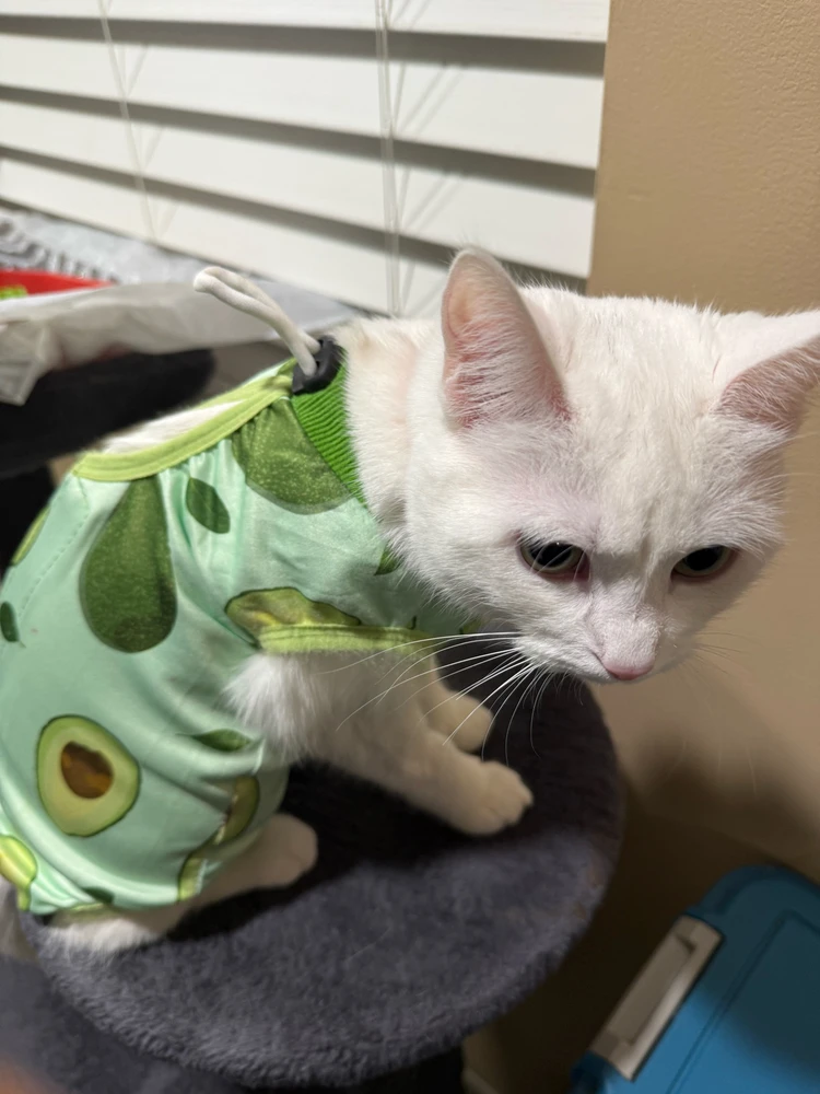 GIF uploaded by Steve