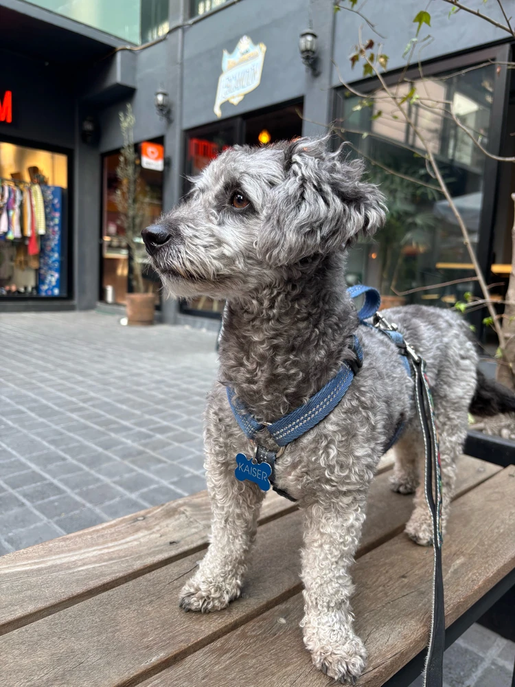 GIF uploaded by Jessika