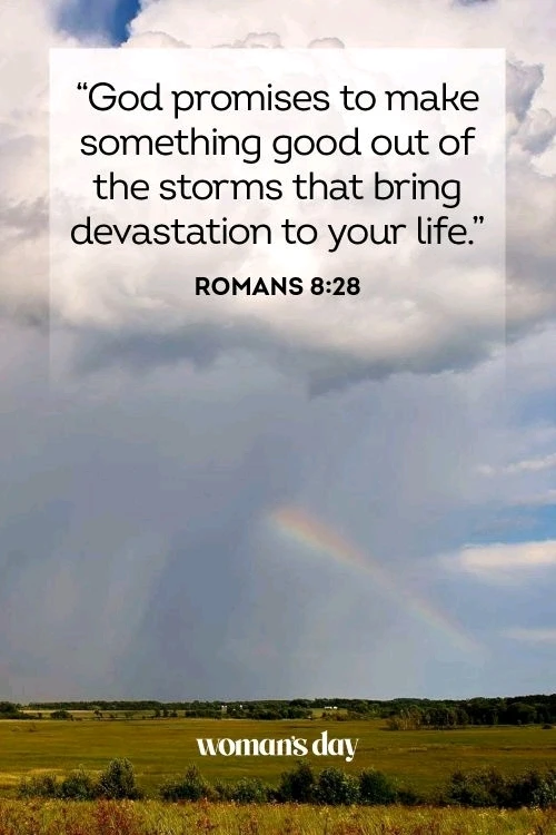 GIF uploaded by Elle