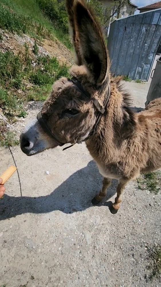 Zdjęcie dodane przez Dawidek