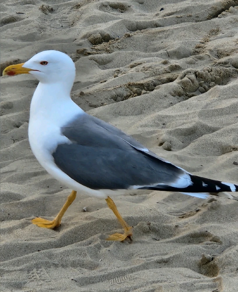 Zdjęcie dodane przez Dawidek