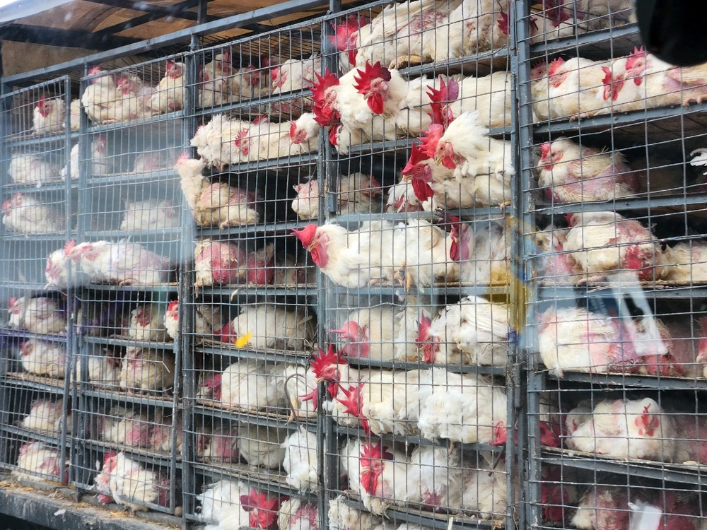 Zdjęcie dodane przez Dawidek