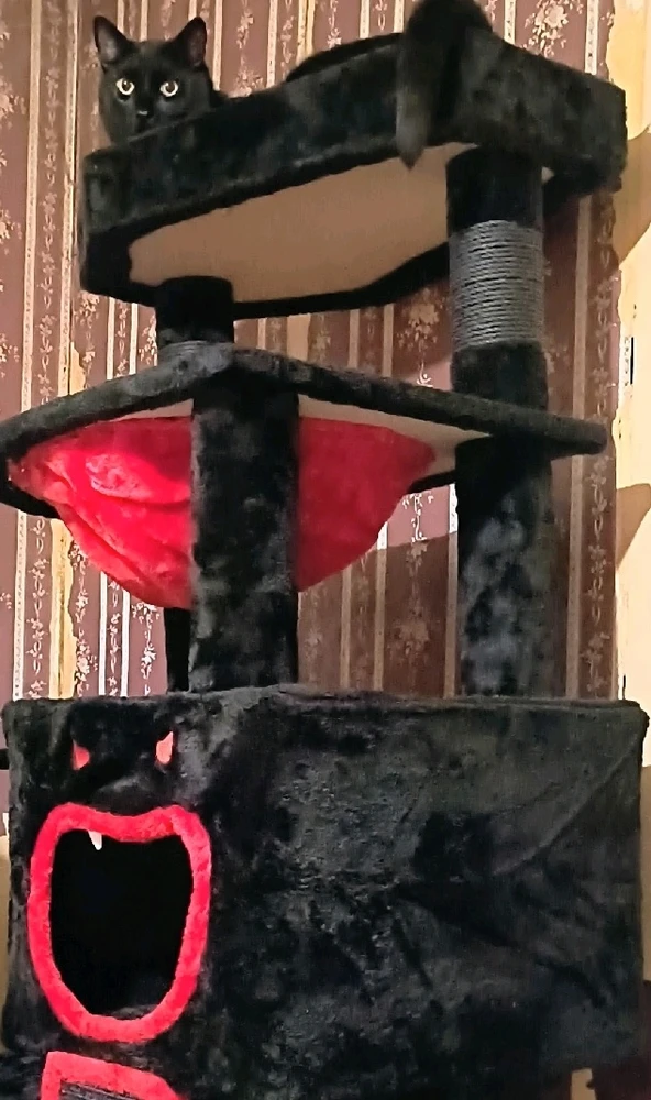 GIF uploaded by Jodie