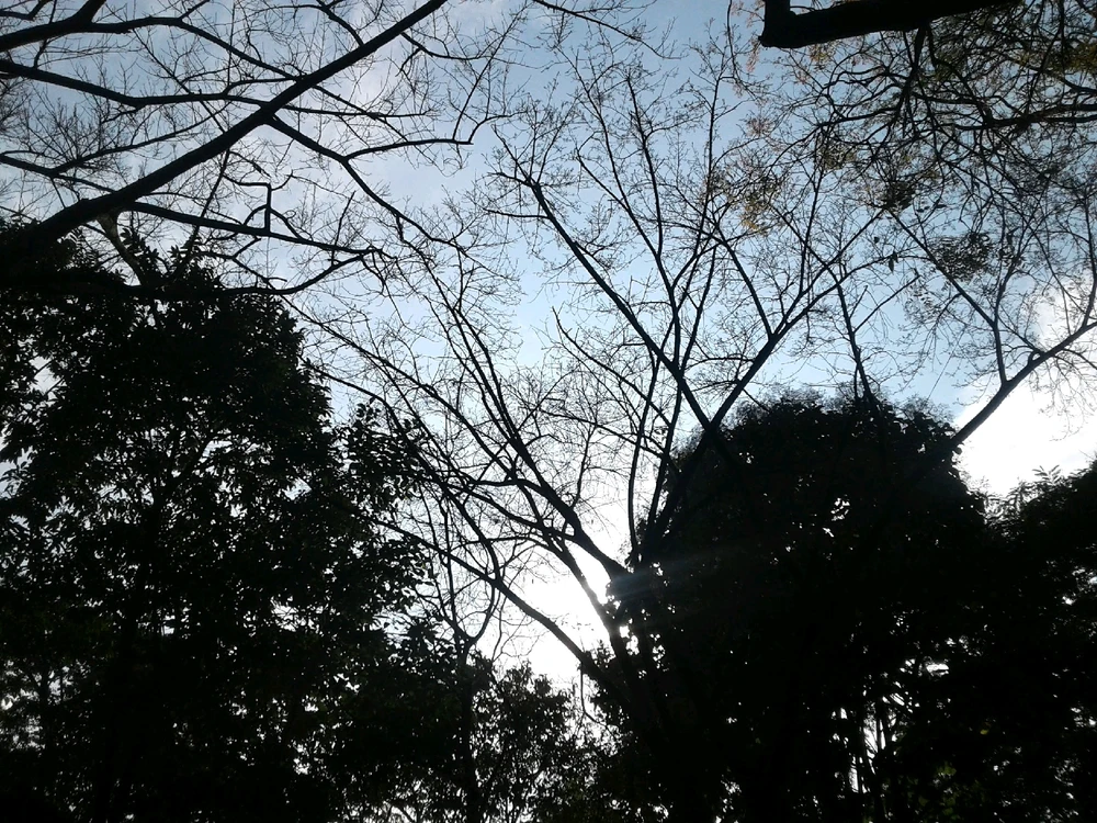 GIF subido por Juan Pablo