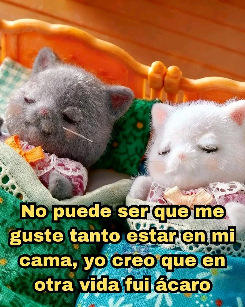 GIF subido por Lissa