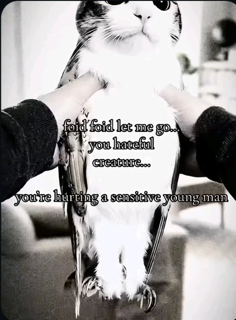 GIF uploaded by Alex