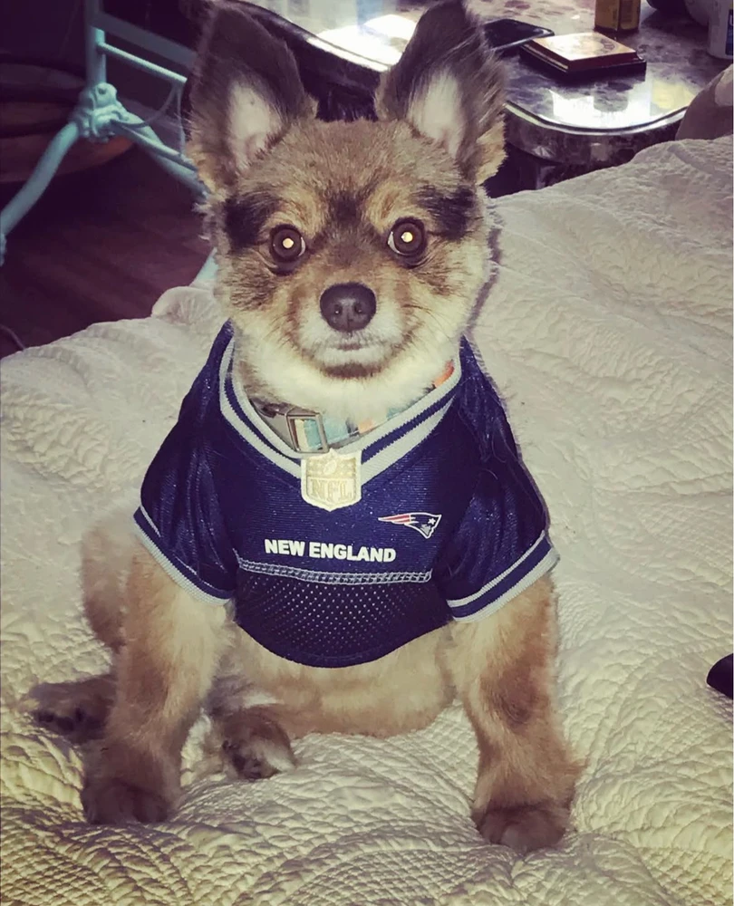 GIF uploaded by Bruce