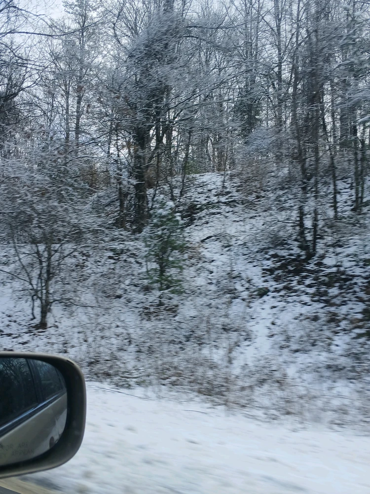 GIF uploaded by Allison