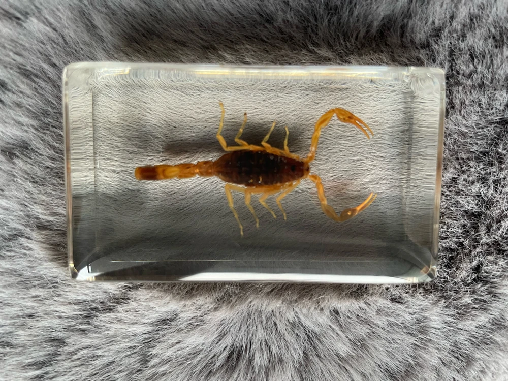 Zdjęcie dodane przez ᛏᛟᛗᚨᛊᛉ