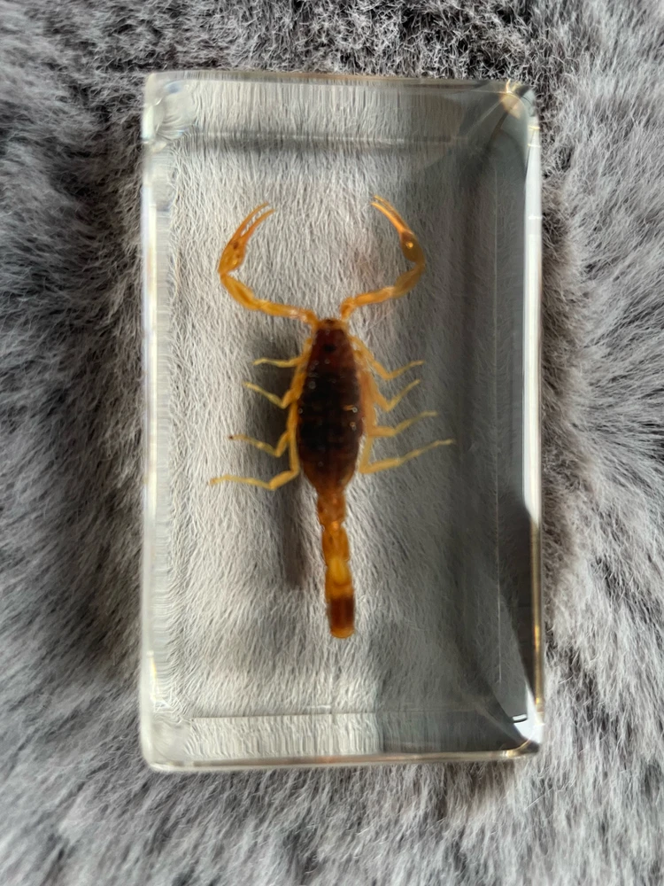 Zdjęcie dodane przez ᛏᛟᛗᚨᛊᛉ