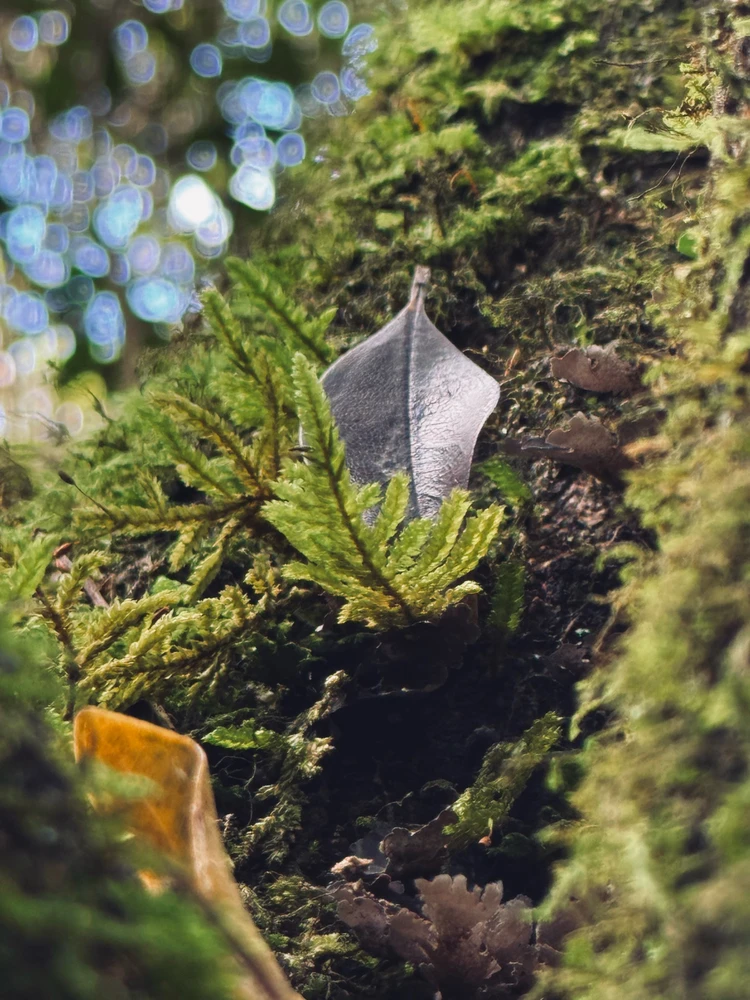 Image uploaded by Thanusha