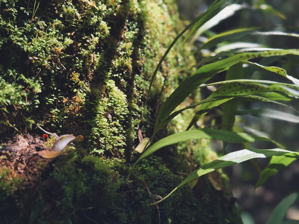 Image uploaded by Thanusha