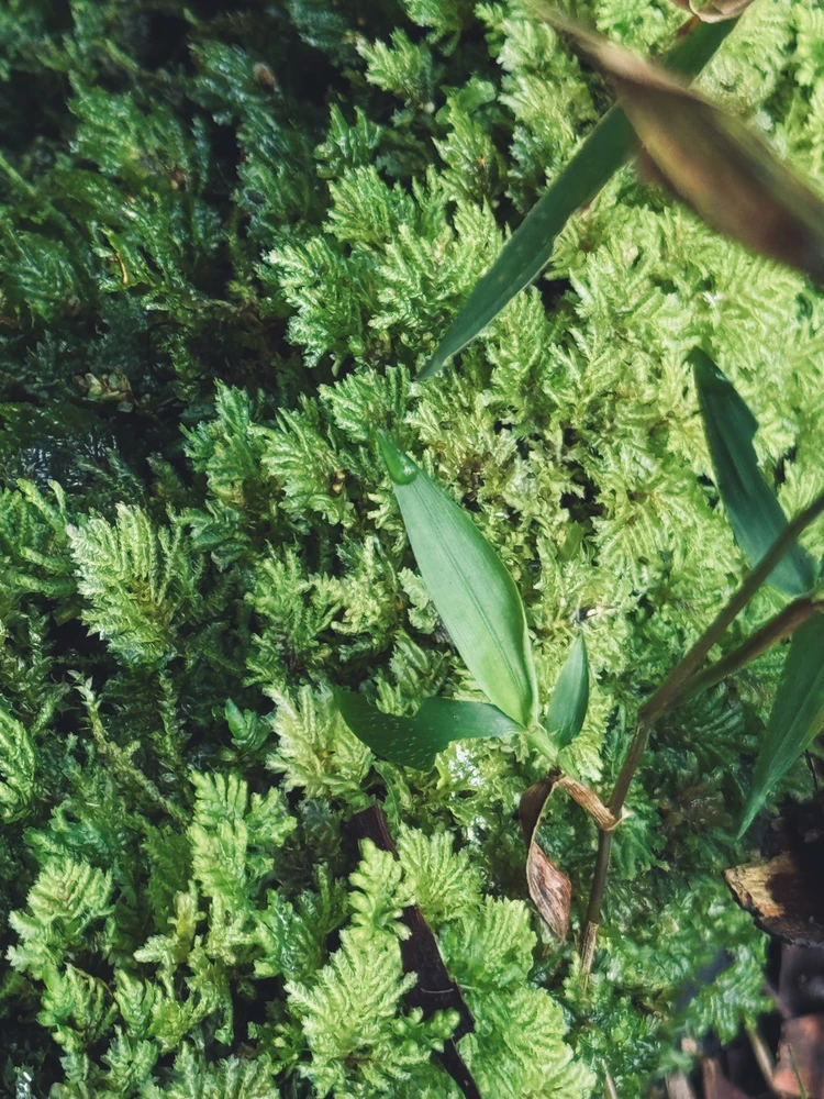 Image uploaded by Thanusha