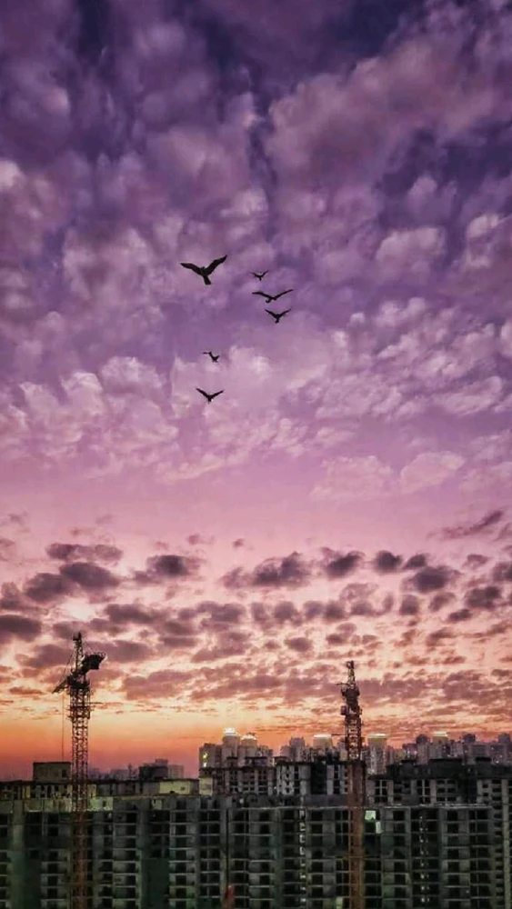 GIF uploaded by Max Drew / Raman