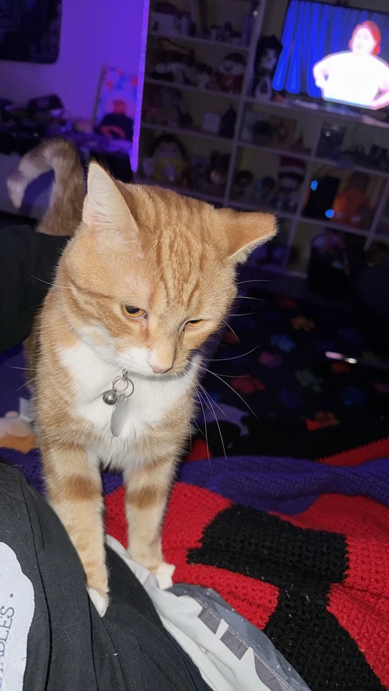 GIF uploaded by Courtney