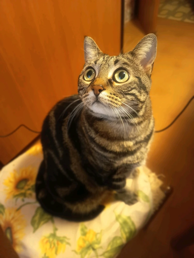 GIF caricata da Massimo