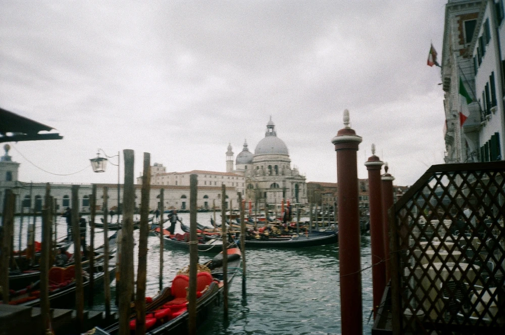 Image uploaded by Liza