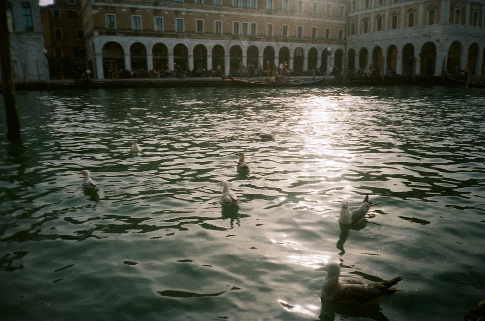 Image uploaded by Liza