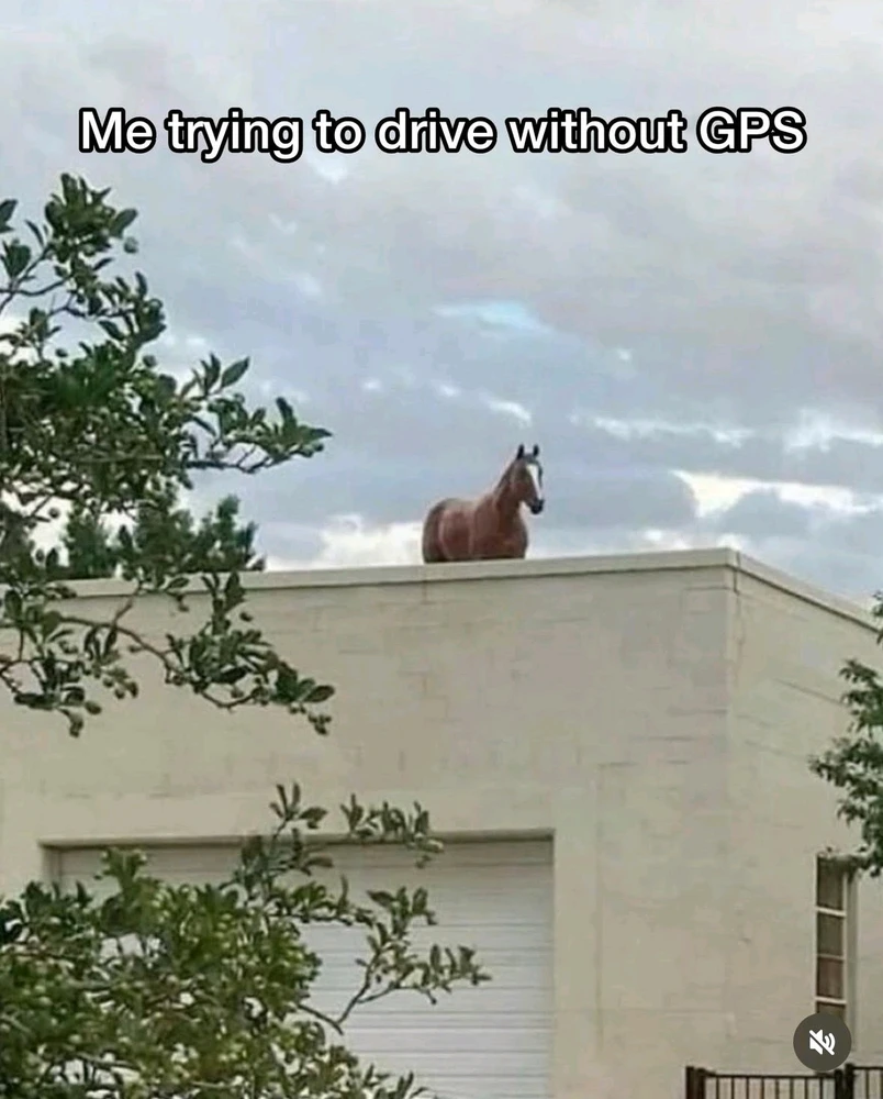 GIF uppladdad av Emil Asplund