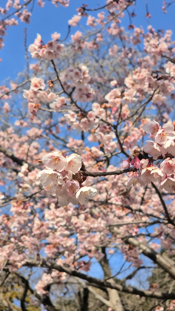 GIF uploaded by Pauline