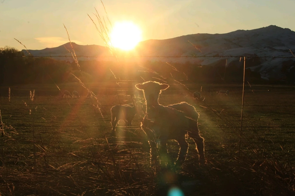 GIF uploaded by AleΕ‘