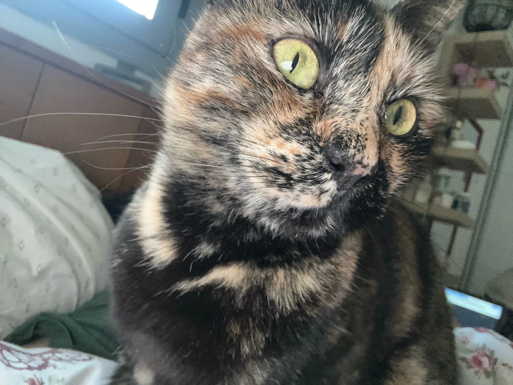 Image uploaded by Yaara