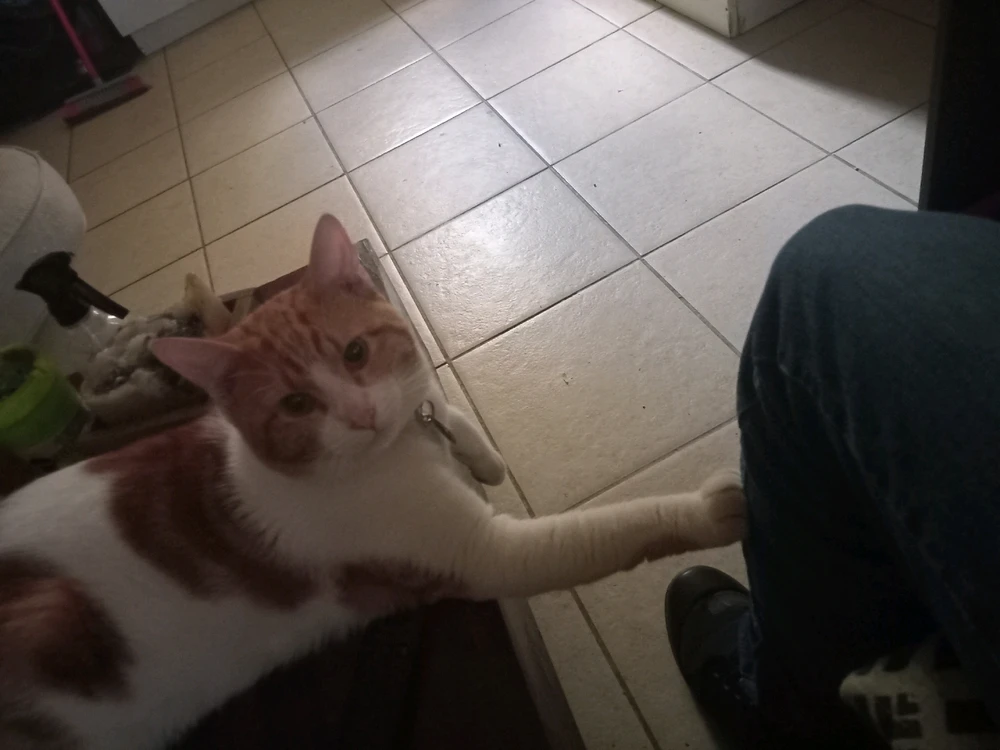 GIF uploaded by Steffan