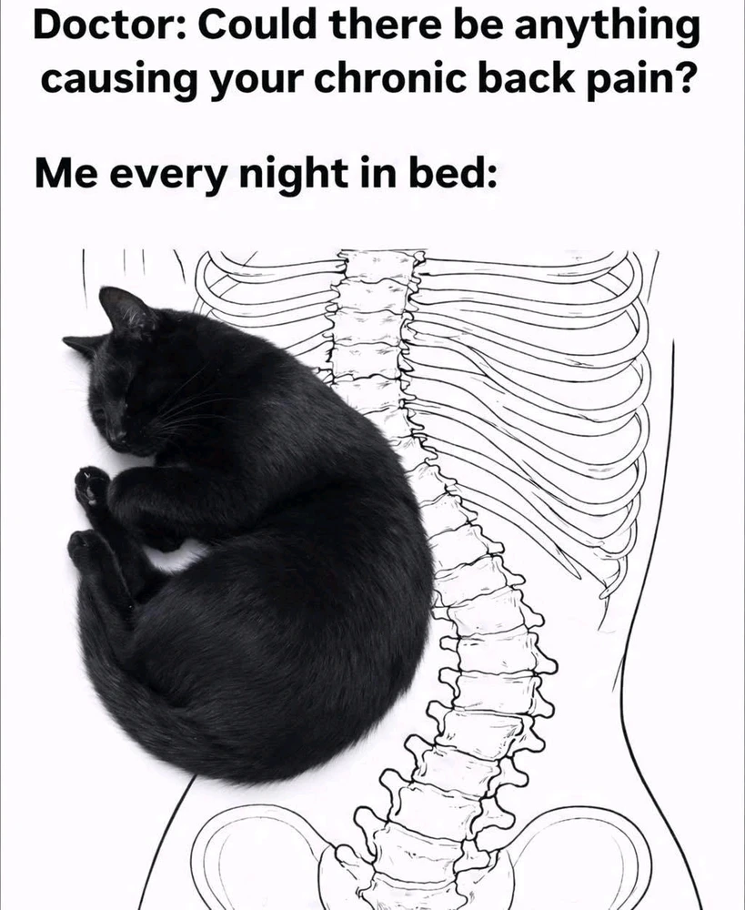 GIF uploaded by Joana