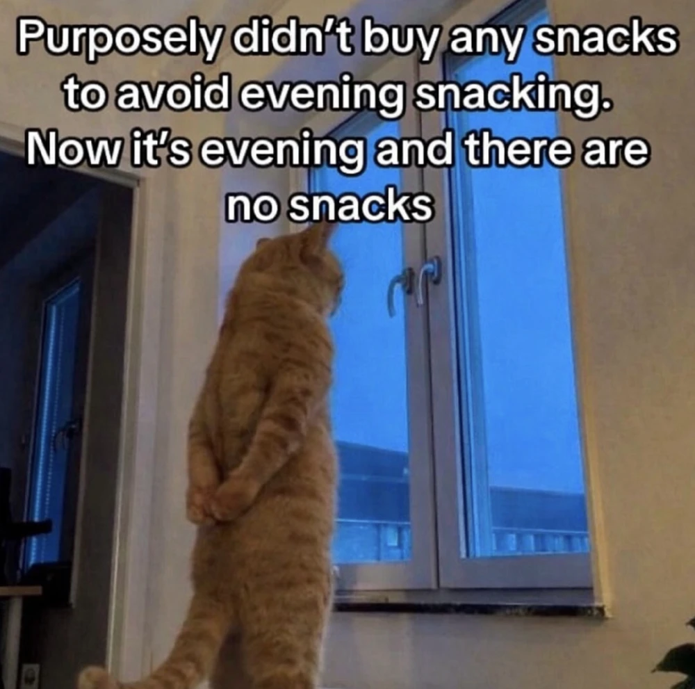 GIF uploaded by Joana