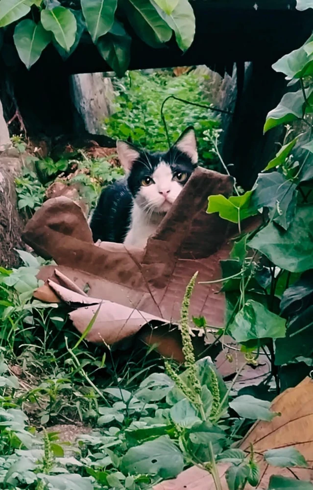 GIF uploaded by I r e n e