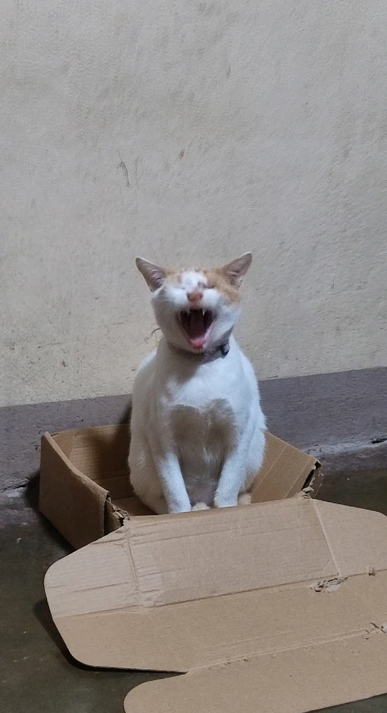 GIF uploaded by Angel