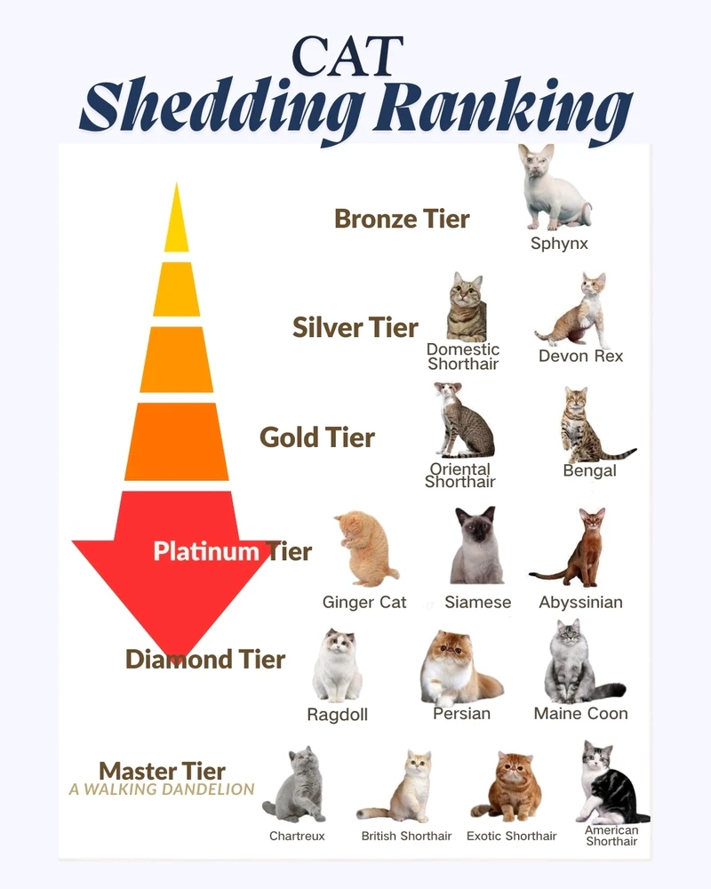 GIF hochgeladen von đđđ€đ€đđđ