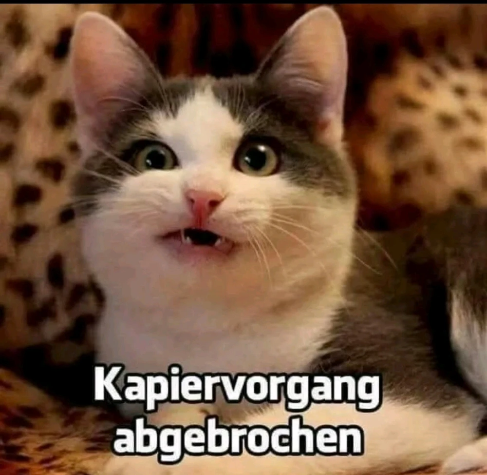 GIF hochgeladen von Lisa