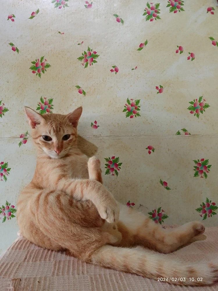 Image uploaded by Marvie