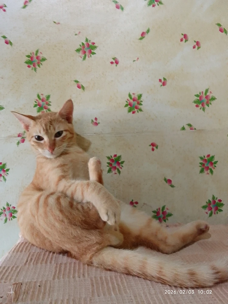 Image uploaded by Marvie