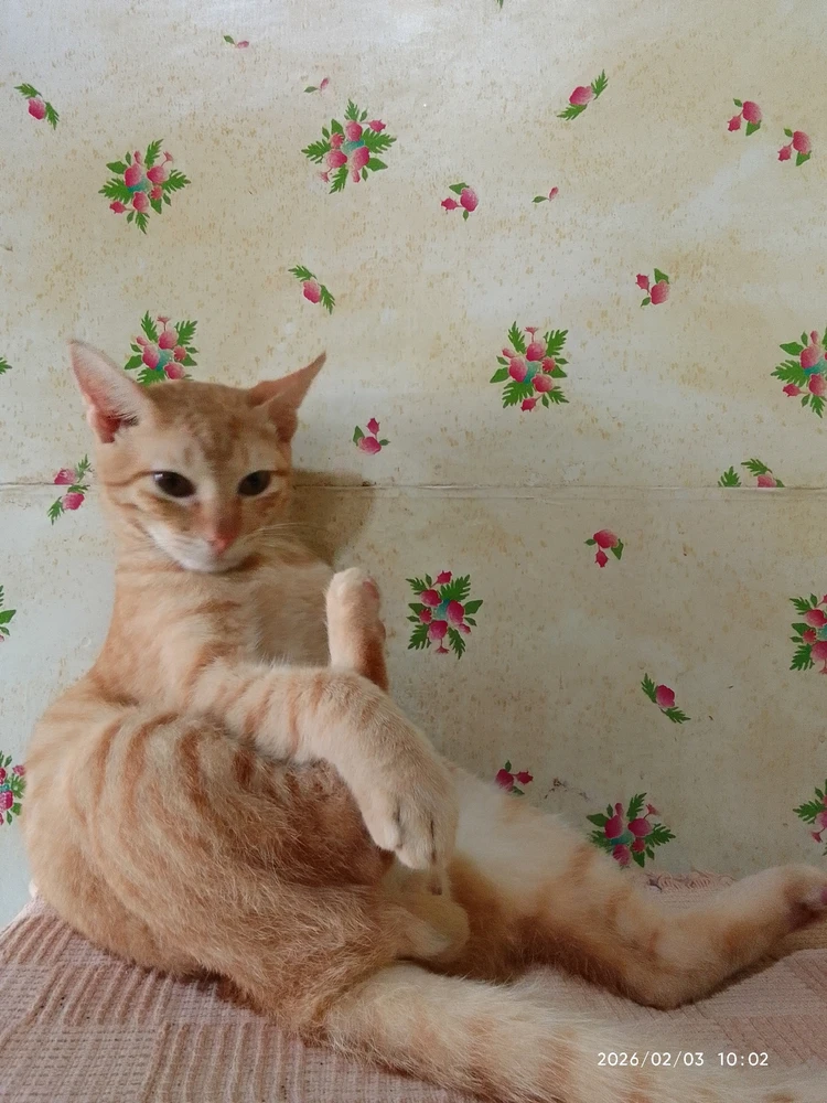 Image uploaded by Marvie