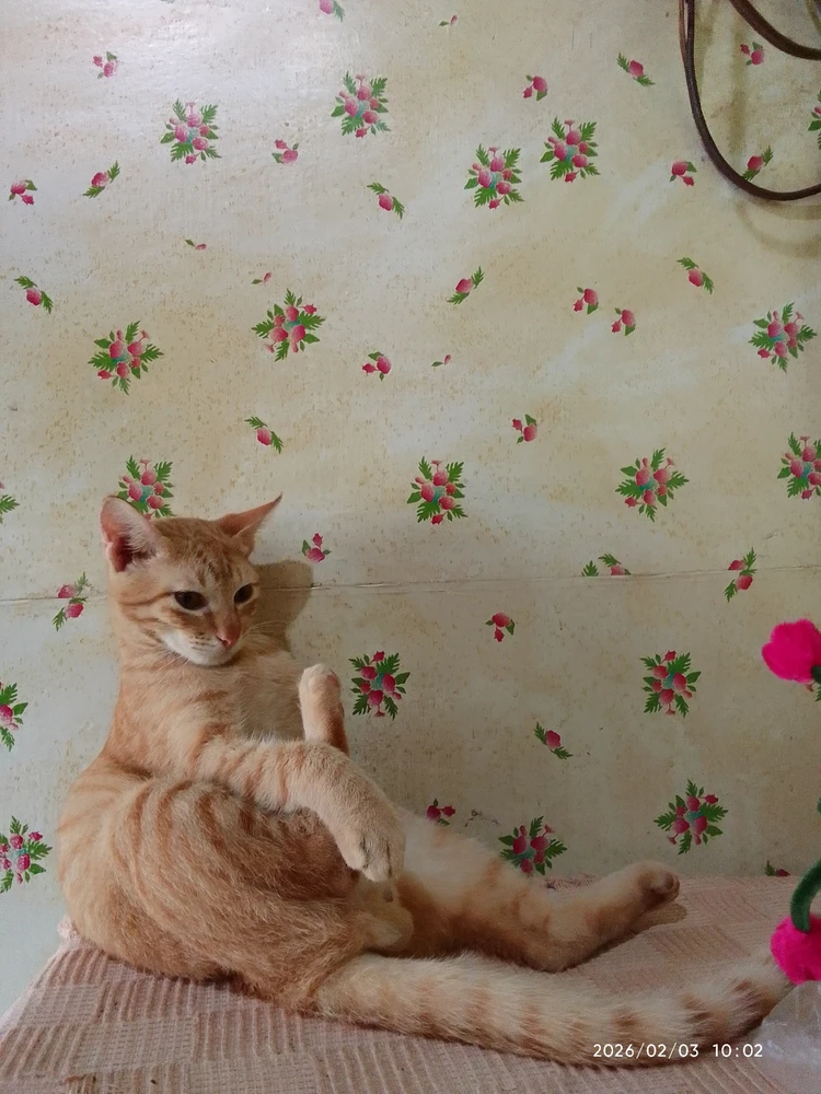 Image uploaded by Marvie