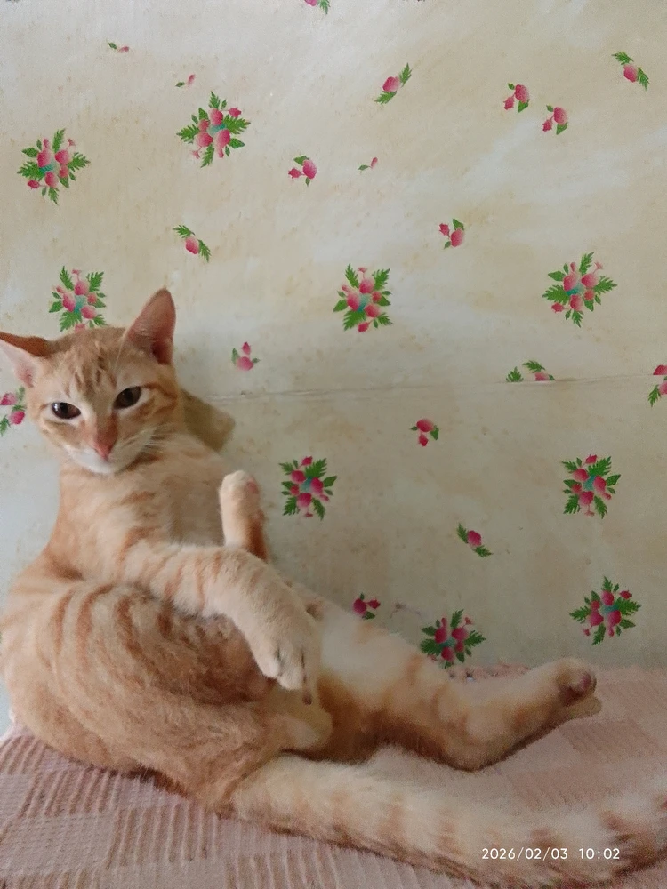 Image uploaded by Marvie