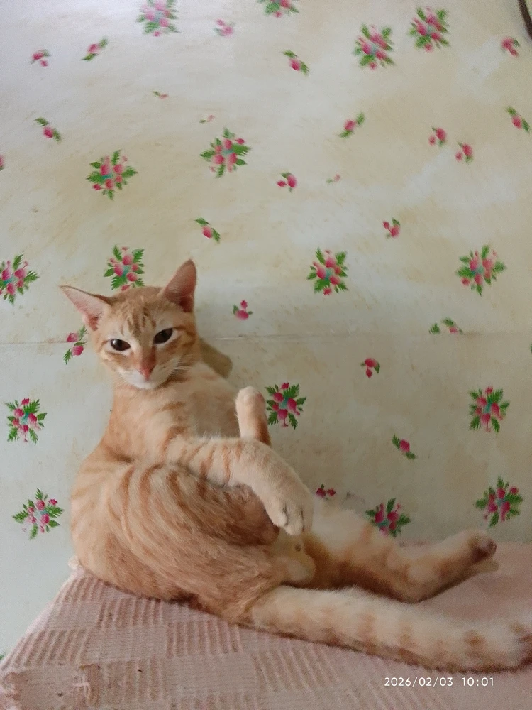 Image uploaded by Marvie