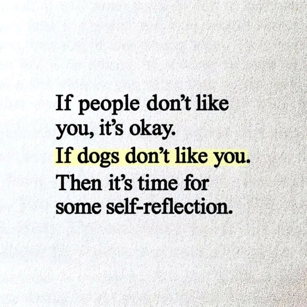 GIF uploaded by Astraea